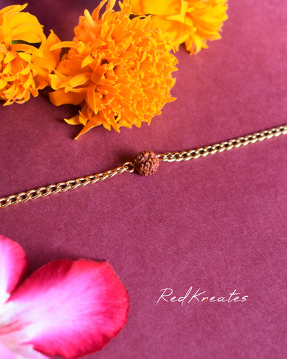 5 mukhi Rudraksh Men's bracelet